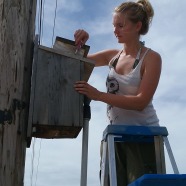 Boise State University biologist Anjolene Hunt opens an Idaho nest box